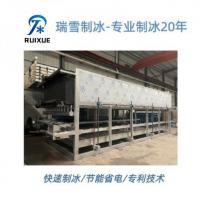 日产12-30吨块冰机