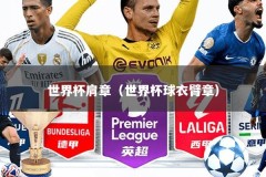 世界杯肩章（世界杯球衣臂章）