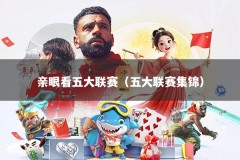 亲眼看五大联赛（五大联赛集锦）