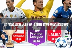 印度加盟五大联赛（印度有哪些足球联赛）