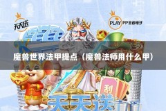 魔兽世界法甲提点（魔兽法师用什么甲）