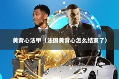 黄背心法甲（法国黄背心怎么结束了）