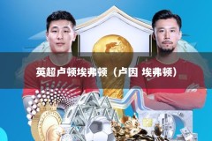 英超卢顿埃弗顿（卢因 埃弗顿）