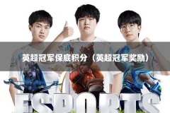 英超冠军保底积分（英超冠军奖励）