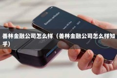 善林金融公司怎么样（善林金融公司怎么样知乎）